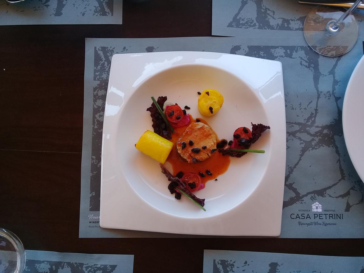 Casa Petrini 5* Tupungato